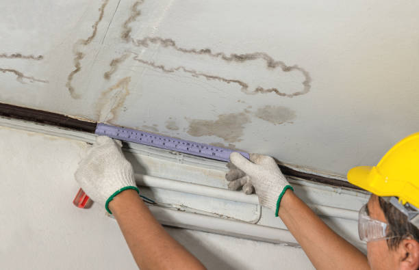Reliable Burst Pipe Cleanup contractor in Tiger, GA by Water Damage Irwin